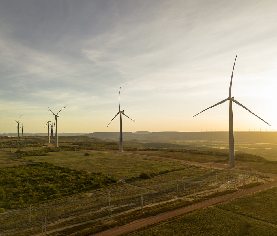 a group of wind turbines in a field